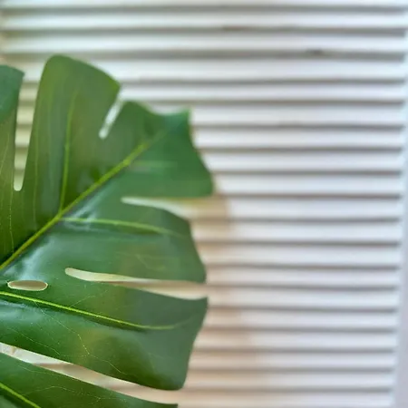 Apartment Avenida Centro Guixar Vigo