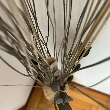 Apartment Avenida Centro Guixar *