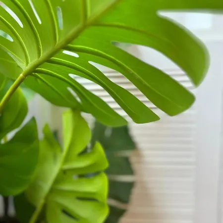 Avenida Centro Guixar Apartment Vigo