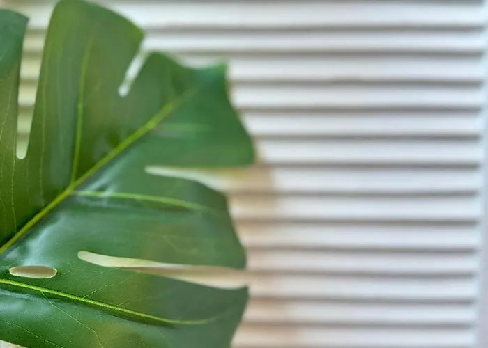 Daire Avenida Centro Guixar Vigo