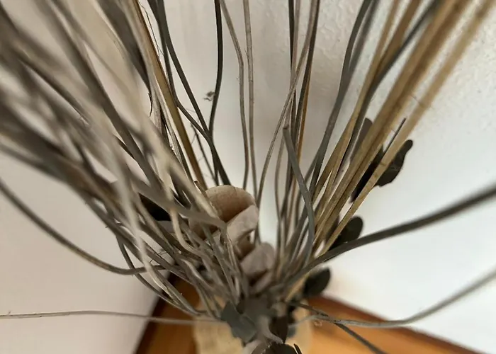 Апартаменты Avenida Centro Guixar *