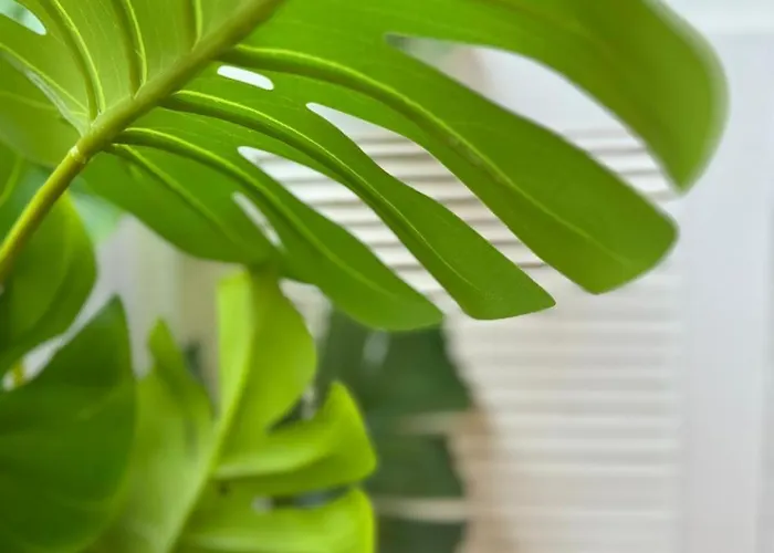 Avenida Centro Guixar Апартаменты Виго